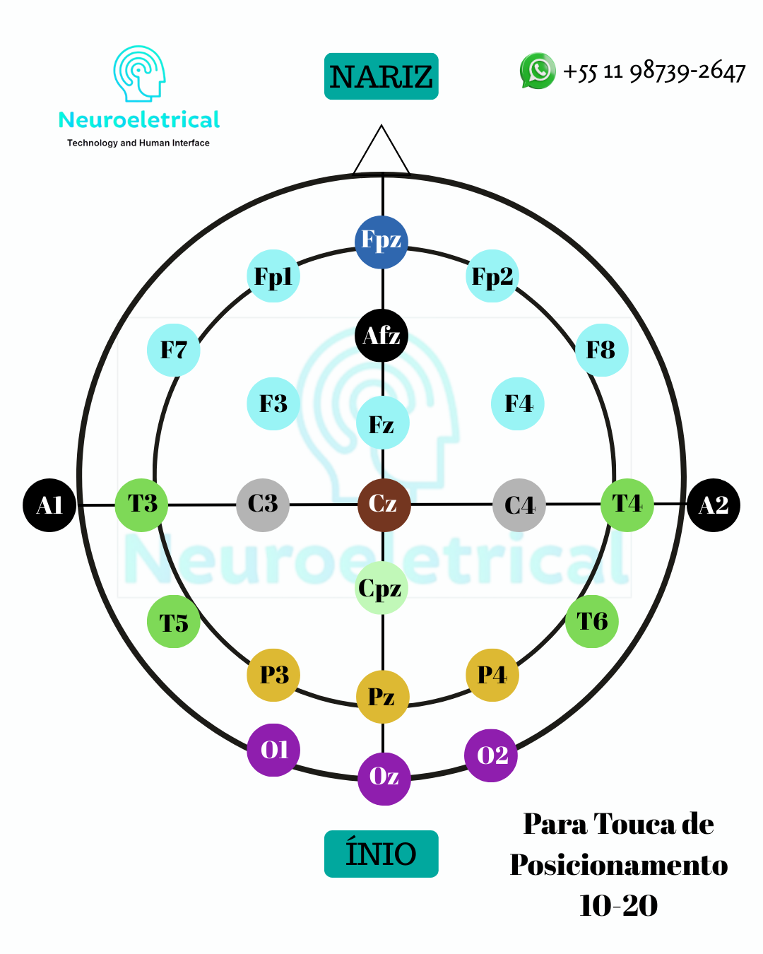 Kit Touca ETCC/EEG + Protocolos de Posicionamento (Arquivo Digital)